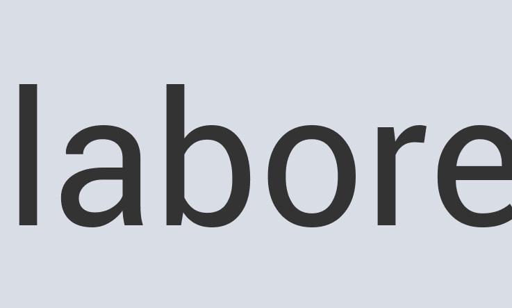 Enormous Leather Hairport