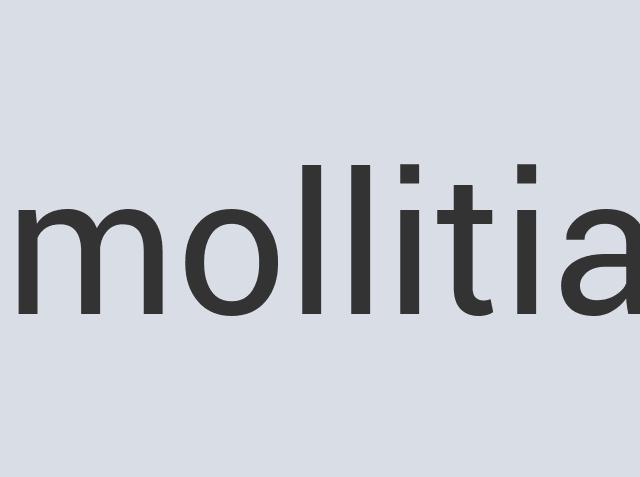 Gorgeous Leather Callflex