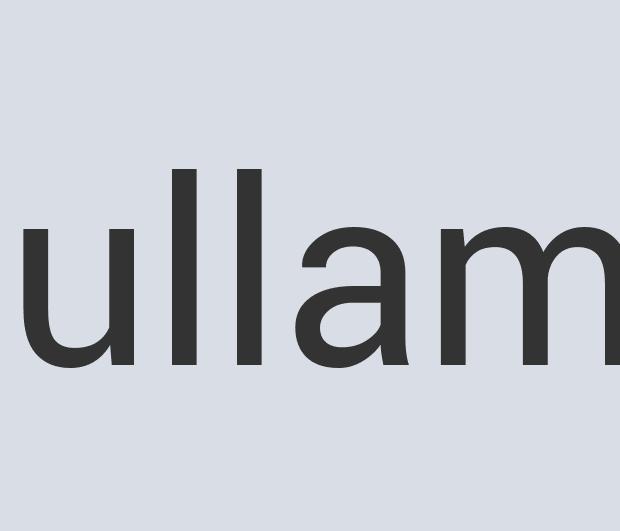 Aerodynamic Wooden Earthscope