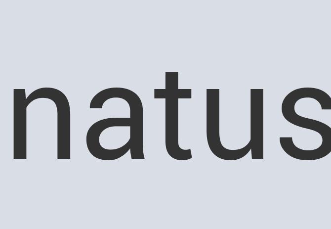 Rustic Silk Hot Belly Underground