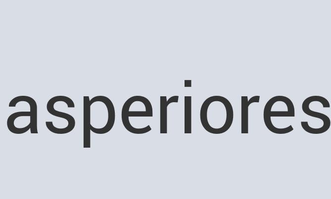 Aerodynamic Silk Turtle Magic