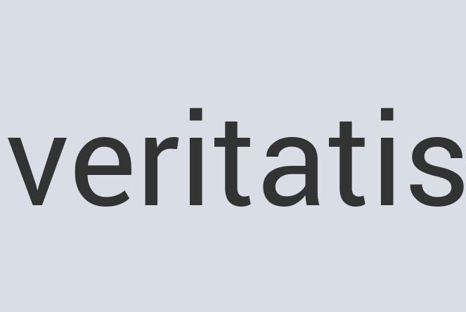 Heavy Duty Steel Active Sleep